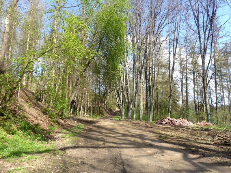 fotografie z akce Z Vlašimi do Č.Šternberku-17km