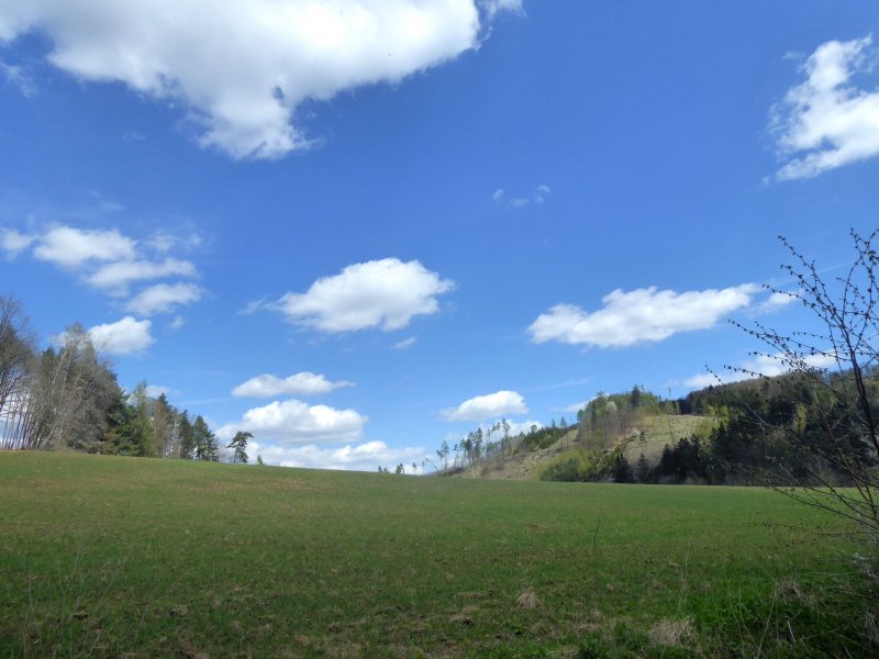 fotografie z akce Z Vlašimi do Č.Šternberku-17km