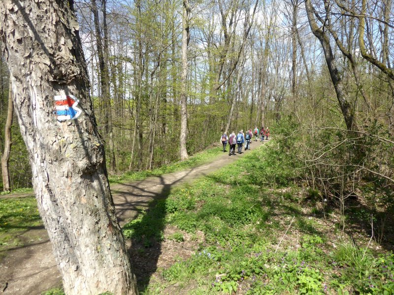 fotografie z akce Z Vlašimi do Č.Šternberku-17km