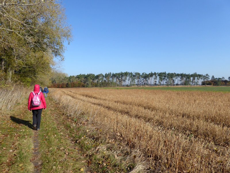 fotografie z akce Z Vrbčan do Sadské - 15,5 km