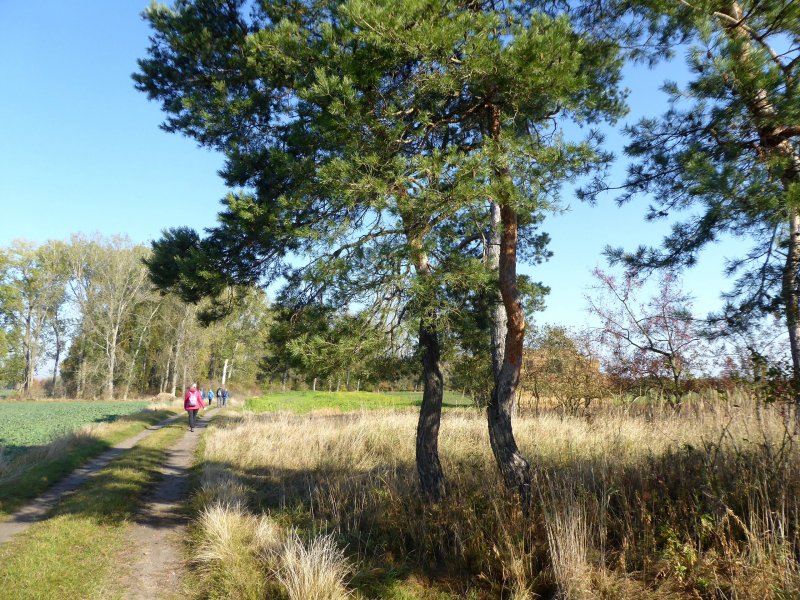 fotografie z akce Z Vrbčan do Sadské - 15,5 km