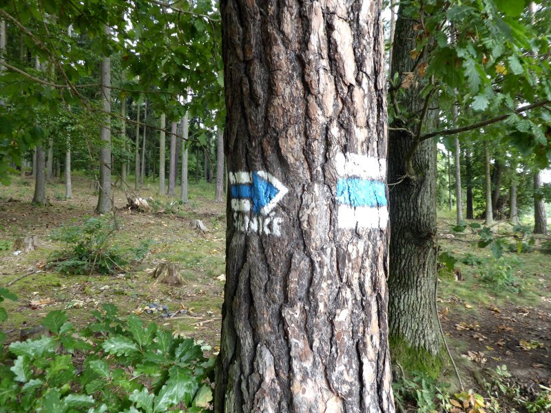 fotografie z akce Ze Sázavy do Krymlova - 16 km